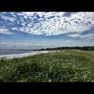 Meet your Posher, Claudia